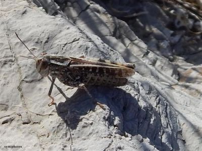 Κάντε κλικ για να δείτε την εικόνα σε πλήρες μέγεθος