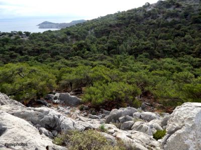 Κάντε κλικ για να δείτε την εικόνα σε πλήρες μέγεθος