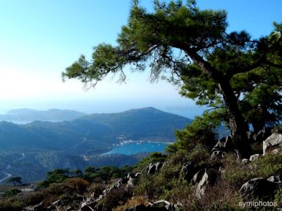 Κάντε κλικ για να δείτε την εικόνα σε πλήρες μέγεθος