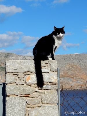 Κάντε κλικ για να δείτε την εικόνα σε πλήρες μέγεθος