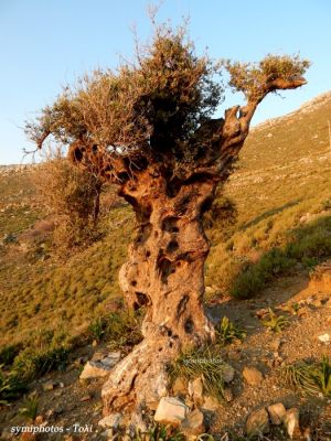 Κάντε κλικ για να δείτε την εικόνα σε πλήρες μέγεθος