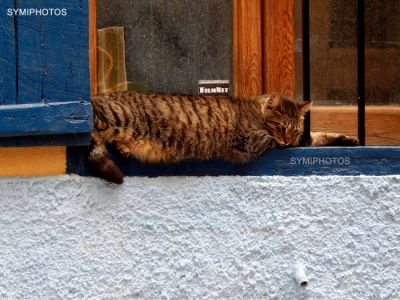 Κάντε κλικ για να δείτε την εικόνα σε πλήρες μέγεθος