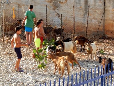 Κάντε κλικ για να δείτε την εικόνα σε πλήρες μέγεθος