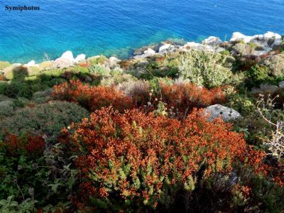 Κάντε κλικ για να δείτε την εικόνα σε πλήρες μέγεθος