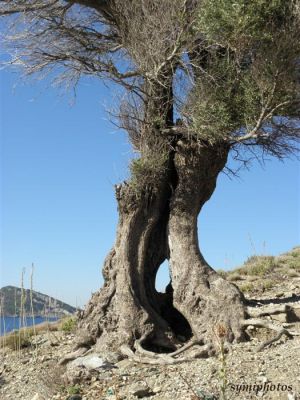 Κάντε κλικ για να δείτε την εικόνα σε πλήρες μέγεθος