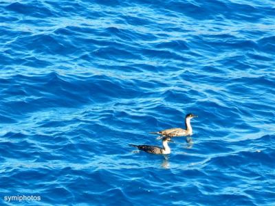 Κάντε κλικ για να δείτε την εικόνα σε πλήρες μέγεθος