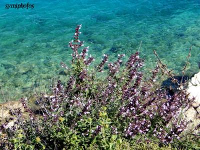 Κάντε κλικ για να δείτε την εικόνα σε πλήρες μέγεθος