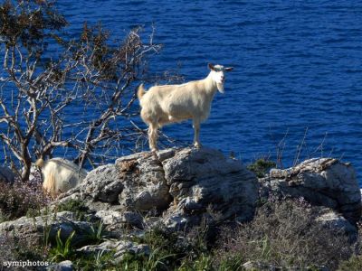 Κάντε κλικ για να δείτε την εικόνα σε πλήρες μέγεθος