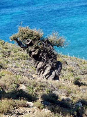 Κάντε κλικ για να δείτε την εικόνα σε πλήρες μέγεθος