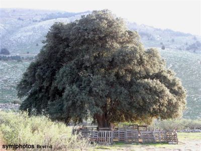 Κάντε κλικ για να δείτε την εικόνα σε πλήρες μέγεθος