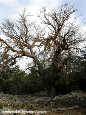 Κάντε κλικ για να δείτε την εικόνα σε πλήρες μέγεθος