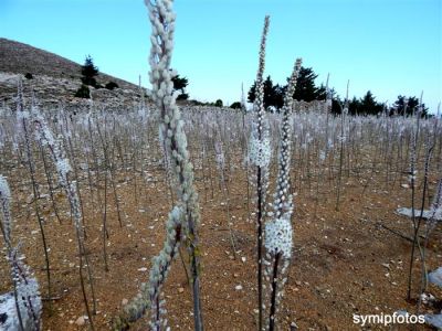 Κάντε κλικ για να δείτε την εικόνα σε πλήρες μέγεθος