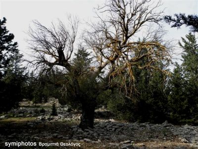 Κάντε κλικ για να δείτε την εικόνα σε πλήρες μέγεθος