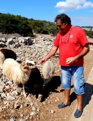 Κάντε κλικ για να δείτε την εικόνα σε πλήρες μέγεθος