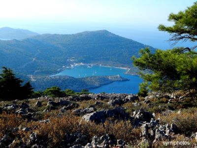 Tam boy resmi görebilmek için tıklayın