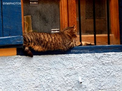 Κάντε κλικ για να δείτε την εικόνα σε πλήρες μέγεθος