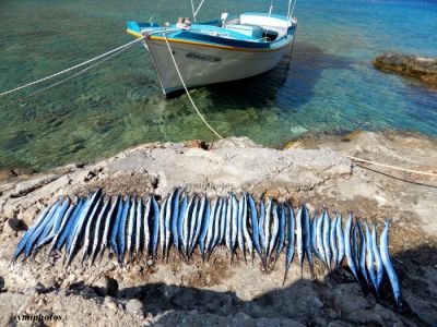 Κάντε κλικ για να δείτε την εικόνα σε πλήρες μέγεθος