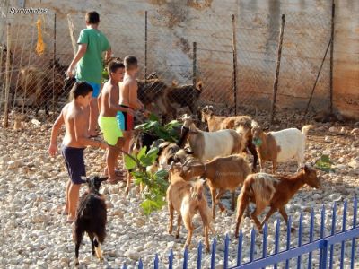 Κάντε κλικ για να δείτε την εικόνα σε πλήρες μέγεθος