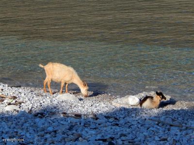 Κάντε κλικ για να δείτε την εικόνα σε πλήρες μέγεθος