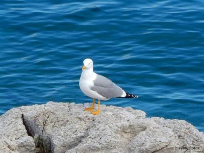 Κάντε κλικ για να δείτε την εικόνα σε πλήρες μέγεθος