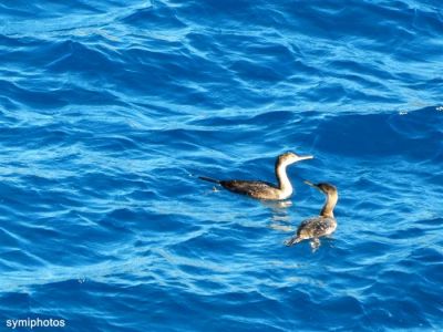 Κάντε κλικ για να δείτε την εικόνα σε πλήρες μέγεθος