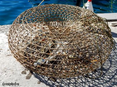 Κάντε κλικ για να δείτε την εικόνα σε πλήρες μέγεθος