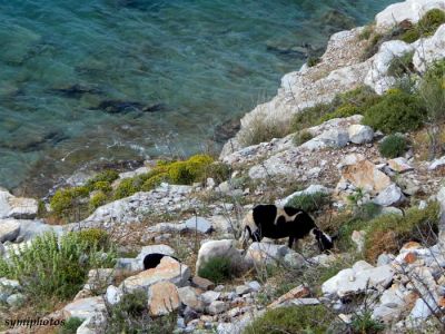 Κάντε κλικ για να δείτε την εικόνα σε πλήρες μέγεθος