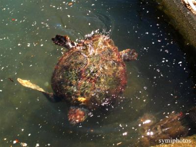 Κάντε κλικ για να δείτε την εικόνα σε πλήρες μέγεθος