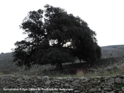 Κάντε κλικ για να δείτε την εικόνα σε πλήρες μέγεθος