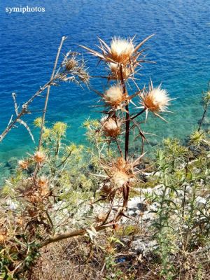 Κάντε κλικ για να δείτε την εικόνα σε πλήρες μέγεθος