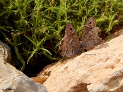 Κάντε κλικ για να δείτε την εικόνα σε πλήρες μέγεθος