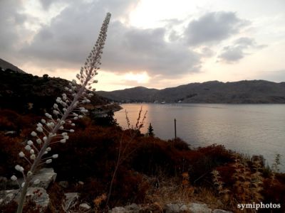 Κάντε κλικ για να δείτε την εικόνα σε πλήρες μέγεθος