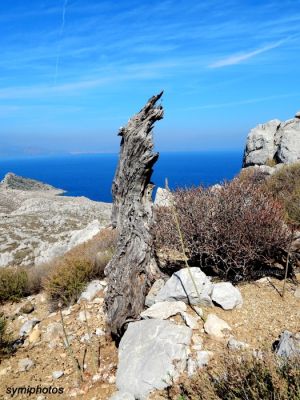 Κάντε κλικ για να δείτε την εικόνα σε πλήρες μέγεθος