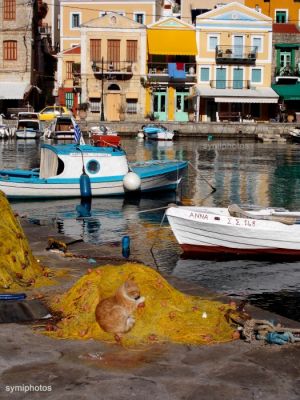 Κάντε κλικ για να δείτε την εικόνα σε πλήρες μέγεθος