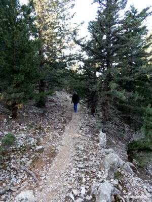 Κάντε κλικ για να δείτε την εικόνα σε πλήρες μέγεθος