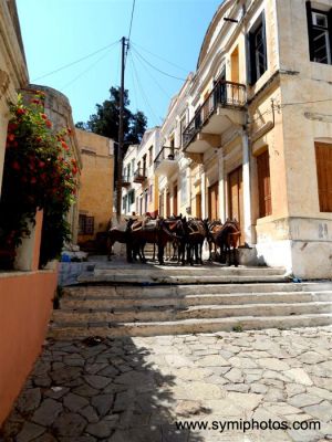 Κάντε κλικ για να δείτε την εικόνα σε πλήρες μέγεθος