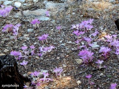 Κάντε κλικ για να δείτε την εικόνα σε πλήρες μέγεθος