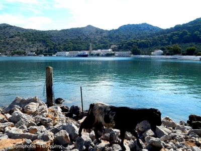 Κάντε κλικ για να δείτε την εικόνα σε πλήρες μέγεθος