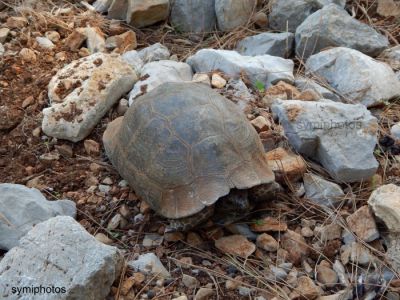 Κάντε κλικ για να δείτε την εικόνα σε πλήρες μέγεθος