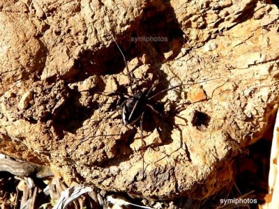 Κάντε κλικ για να δείτε την εικόνα σε πλήρες μέγεθος