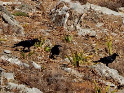 Κάντε κλικ για να δείτε την εικόνα σε πλήρες μέγεθος