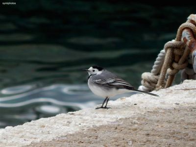 Κάντε κλικ για να δείτε την εικόνα σε πλήρες μέγεθος