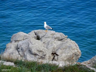 Κάντε κλικ για να δείτε την εικόνα σε πλήρες μέγεθος