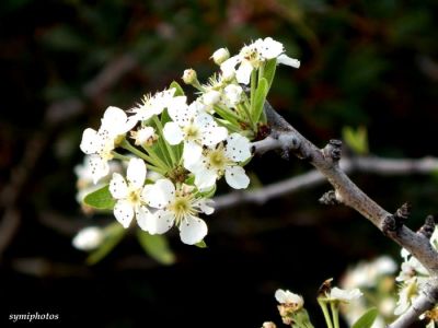 Κάντε κλικ για να δείτε την εικόνα σε πλήρες μέγεθος