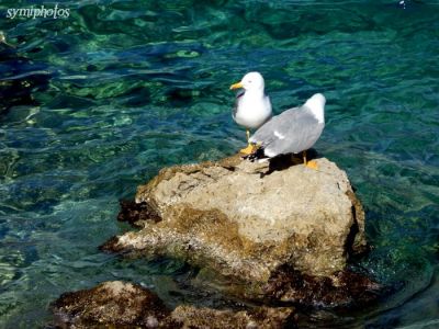 Κάντε κλικ για να δείτε την εικόνα σε πλήρες μέγεθος