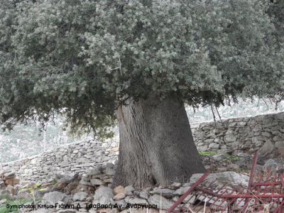 Κάντε κλικ για να δείτε την εικόνα σε πλήρες μέγεθος