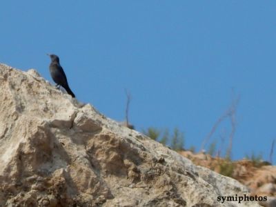 Κάντε κλικ για να δείτε την εικόνα σε πλήρες μέγεθος