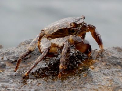 Κάντε κλικ για να δείτε την εικόνα σε πλήρες μέγεθος