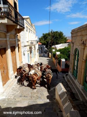 Κάντε κλικ για να δείτε την εικόνα σε πλήρες μέγεθος