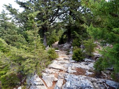 Κάντε κλικ για να δείτε την εικόνα σε πλήρες μέγεθος